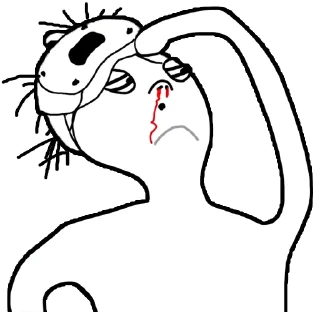 🎮-Marmok_top, Telegram Sticker