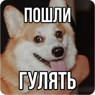 🐶-Кукояка Василиса, Telegram Sticker