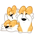 🙈-Corgi Life, Telegram Sticker