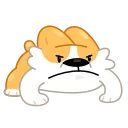 😤-Corgi Life, Telegram Sticker