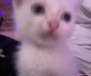 💀-️ Создано в @offstikbot, Telegram Sticker