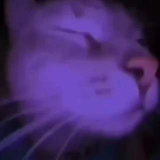 🥳-️ Создано в @offstikbot, Telegram Sticker