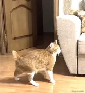 😳-️ Создано в @offstikbot, Telegram Sticker