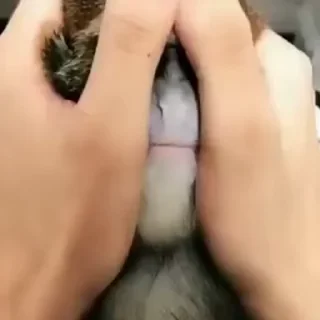 😳-@PePaPy, Telegram Sticker