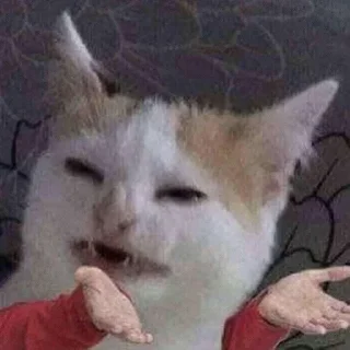 😁-Забавные животные 2 (@safthome), Telegram Sticker