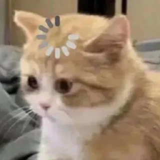😵‍💫-Забавные животные 2 (@safthome), Telegram Sticker