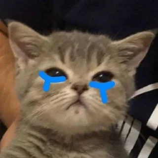 🥺-Забавные животные 2 (@safthome), Telegram Sticker