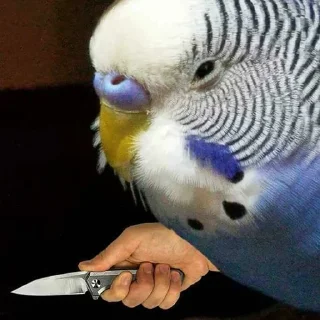 🔪-Забавные животные 2 (@safthome), Telegram Sticker