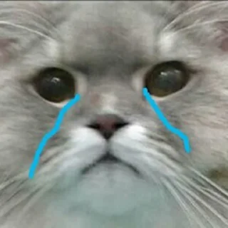 😢-Забавные животные 2 (@safthome), Telegram Sticker