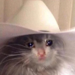 🥺-Забавные животные 2 (@safthome), Telegram Sticker