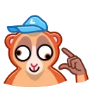 🤪-Loris, Telegram Sticker