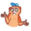 🤷‍♀️-Loris, Telegram Sticker
