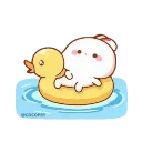 🦆-Lovely Tuji- @cocopry, Telegram Sticker