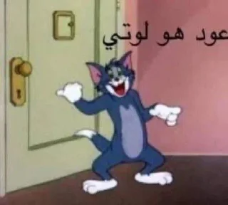 😂-ملصق قط تلجرام, Telegram Sticker