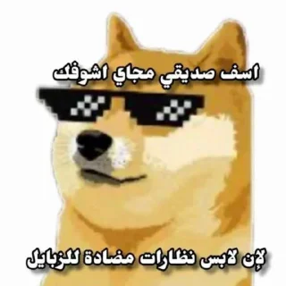 😎-ملصق قط تلجرام, Telegram Sticker