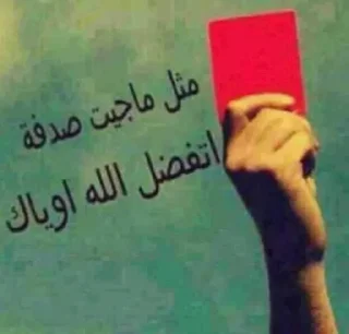 😂-ملصق قط تلجرام, Telegram Sticker