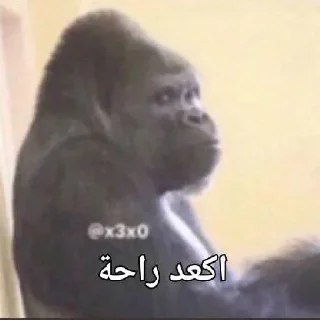 🗿-ملصق قط تلجرام, Telegram Sticker