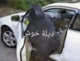 🗿-ملصق قط تلجرام, Telegram Sticker