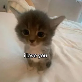 ❤️‍🔥-ملصق قط تلجرام, Telegram Sticker
