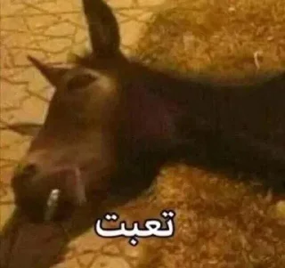💔-ملصق قط تلجرام, Telegram Sticker