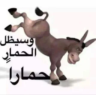 😂-ملصق قط تلجرام, Telegram Sticker