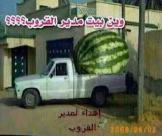 🔥-ملصق قط تلجرام, Telegram Sticker