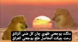 💔-ملصق قط تلجرام, Telegram Sticker
