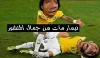 😂-ملصق قط تلجرام, Telegram Sticker