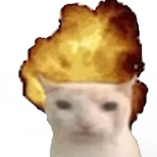 🔥-ملصق قط تلجرام, Telegram Sticker