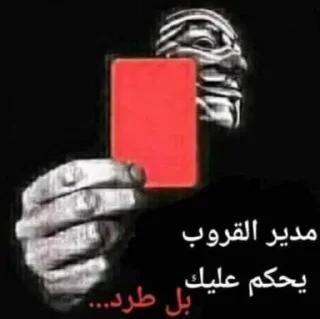 🔥-ملصق قط تلجرام, Telegram Sticker