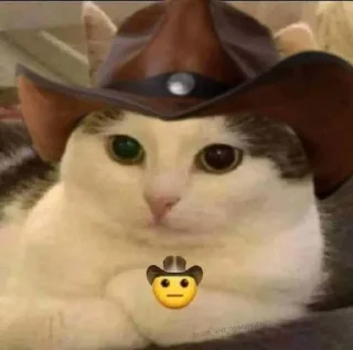 😆-ملصق قط تلجرام, Telegram Sticker