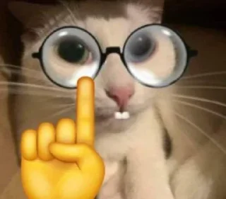 😆-ملصق قط تلجرام, Telegram Sticker