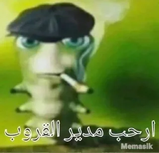 😎-ملصق قط تلجرام, Telegram Sticker