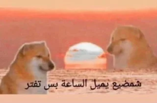 💔-ملصق قط تلجرام, Telegram Sticker