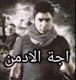 🔥-ملصق قط تلجرام, Telegram Sticker