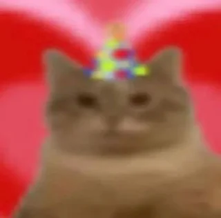 🗿-ملصق قط تلجرام, Telegram Sticker
