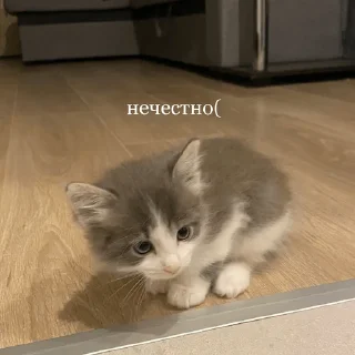😔-пихуй by @gdemama, Telegram Sticker