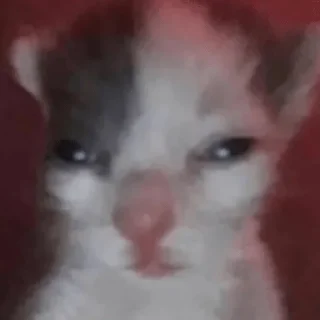 🦣-пихуй by @gdemama, Telegram Sticker