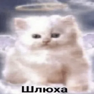 🥺-пихуй by @gdemama, Telegram Sticker