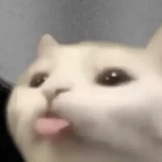👅-пихуй by @gdemama, Telegram Sticker