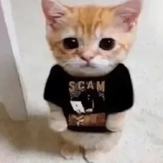 😇-пихуй by @gdemama, Telegram Sticker
