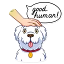 😛-Mark Lizardberg, Telegram Sticker