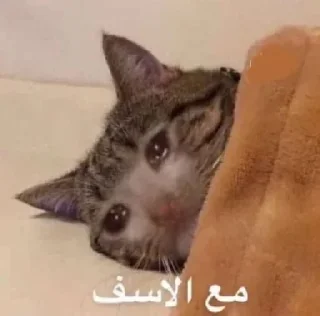 💔-uucann, Telegram Sticker