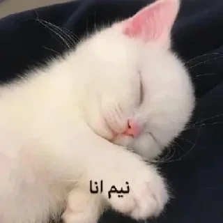 😴-uucann, Telegram Sticker
