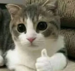 👍-uucann, Telegram Sticker