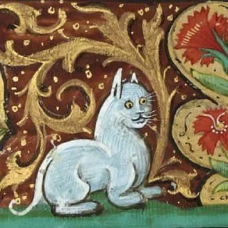 🌚-Medieval Cats by @bitrmn, Telegram Sticker