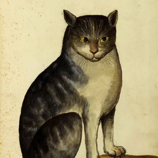😼-Medieval Cats by @bitrmn, Telegram Sticker