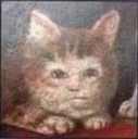 😐-Medieval Cats by @bitrmn, Telegram Sticker