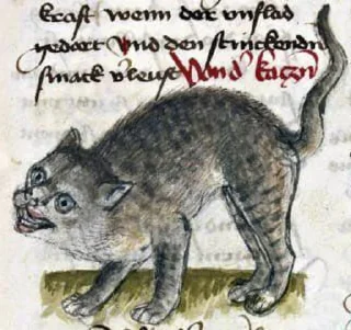 😹-Medieval Cats by @bitrmn, Telegram Sticker