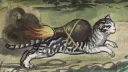 🚀-Medieval Cats by @bitrmn, Telegram Sticker